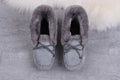 4806 W Alena – Grey